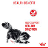 Royal Canin Digestive Care Cat Food 2kg