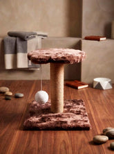 Premium Single Paw Top Scratching Post