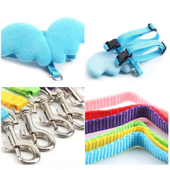 Cat Angel Wings Harness + Leash