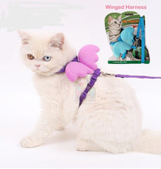 Cat Angel Wings Harness + Leash