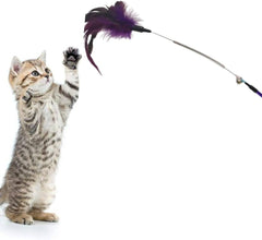 Cat Playing Stick with Feather
