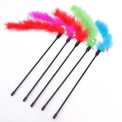 Cat Playing Stick with Feather