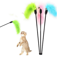 Cat Playing Stick with Feather