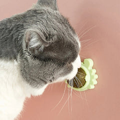 Catnip Lollipop