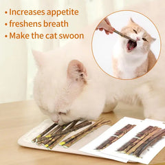 Catnip Sticks - Pack of 10