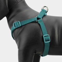 Dog Nylon Body Harness with Leash