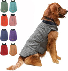 Dog Jacket