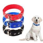 Nylon Collar with Foam for Dogs