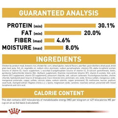 Royal Canin Persian Kitten