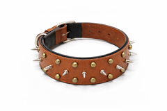 Spiked Leather Collar for Dogs