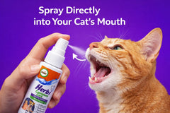 Thai Buddy Herbi Care Dental Spray for Cats & Dogs - Mint Flavor 50ml