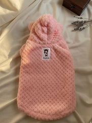 Winter Hoodies for Cats