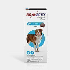 Bravecto 1000mg Chewable Tablets for Large Dogs