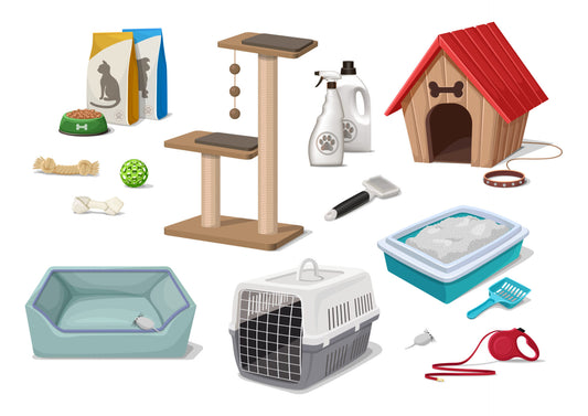 Why do you need Pet Accessories for your Pet?