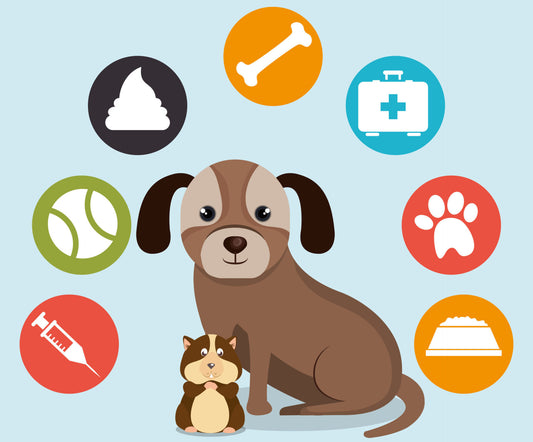 Pet Medicines: Everything you need to know