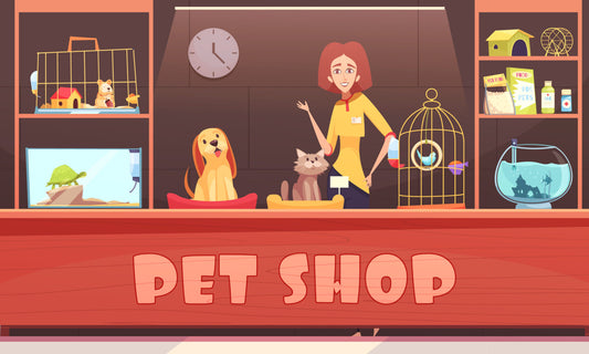 Why are we the best Pet Store in Lahore?