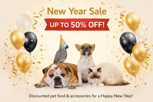 New Year Sale