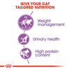 Royal Canin Sterilized Adult Cat Food 2kg