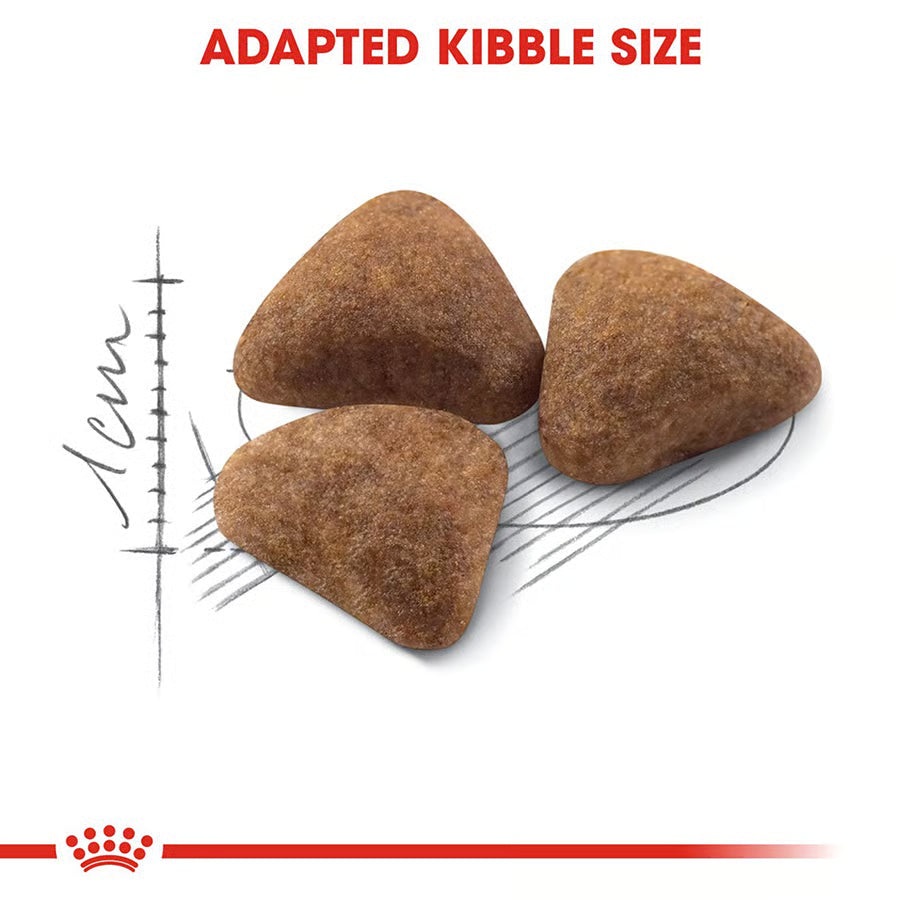 Royal Canin Indoor Cat Food