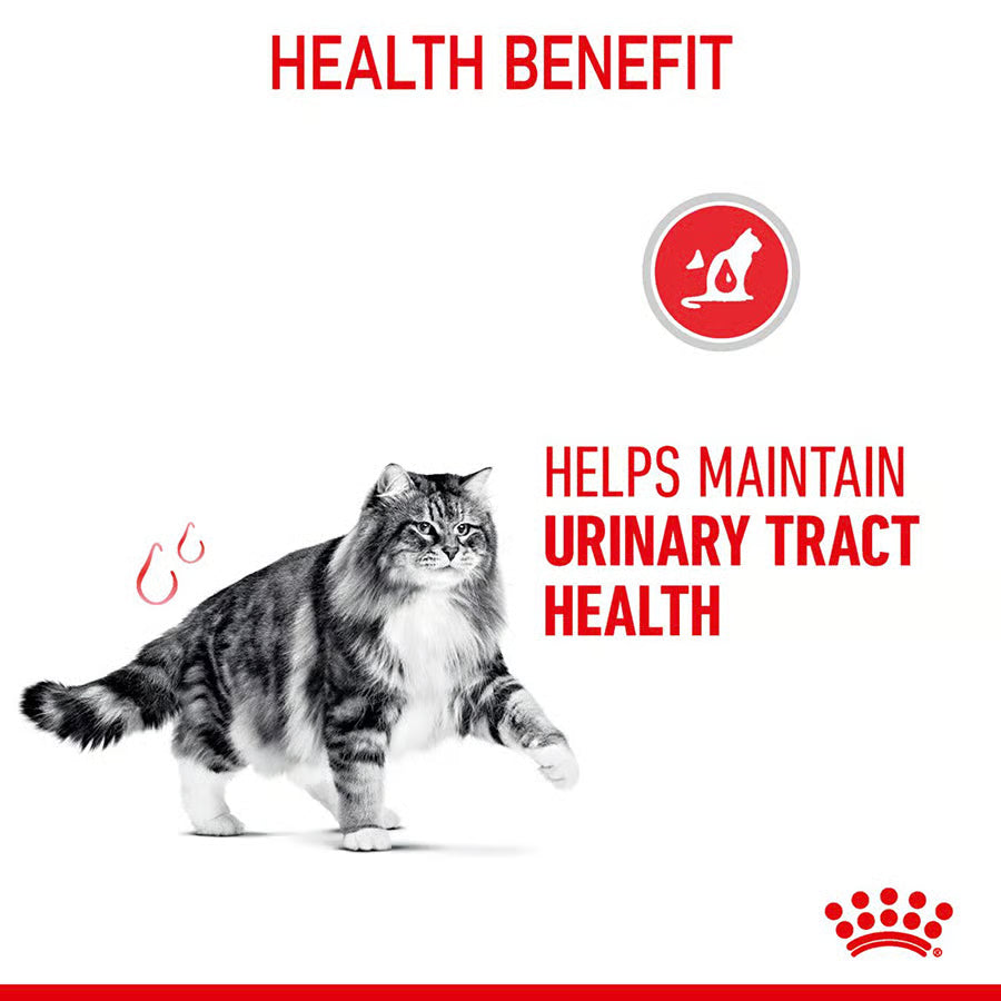Royal Canin Urinary Care Cat Food 2kg