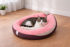 Avocado Shaped Bed - 2x1.5 ft