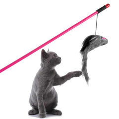 Cat Playing Stick with Mouse