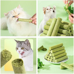 Cat Grass Teething Stick (6 Sticks)