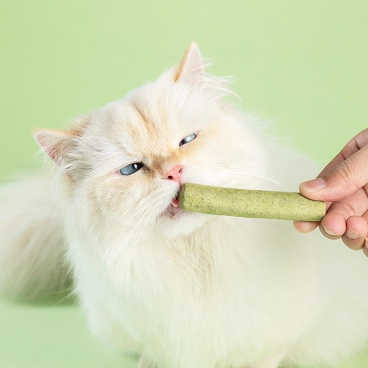 Cat Grass Teething Stick (6 Sticks)