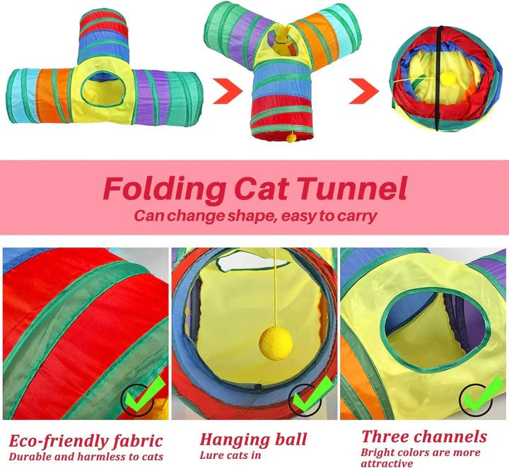 Cat Playing Tunnel with Ball