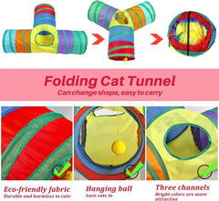 Cat Playing Tunnel with Ball