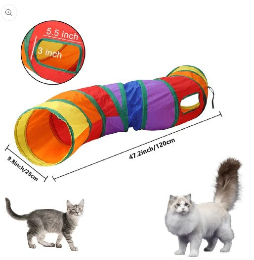 Cat Playing Tunnel with Ball
