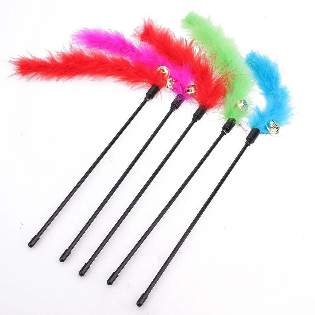 Cat Playing Stick with Feather