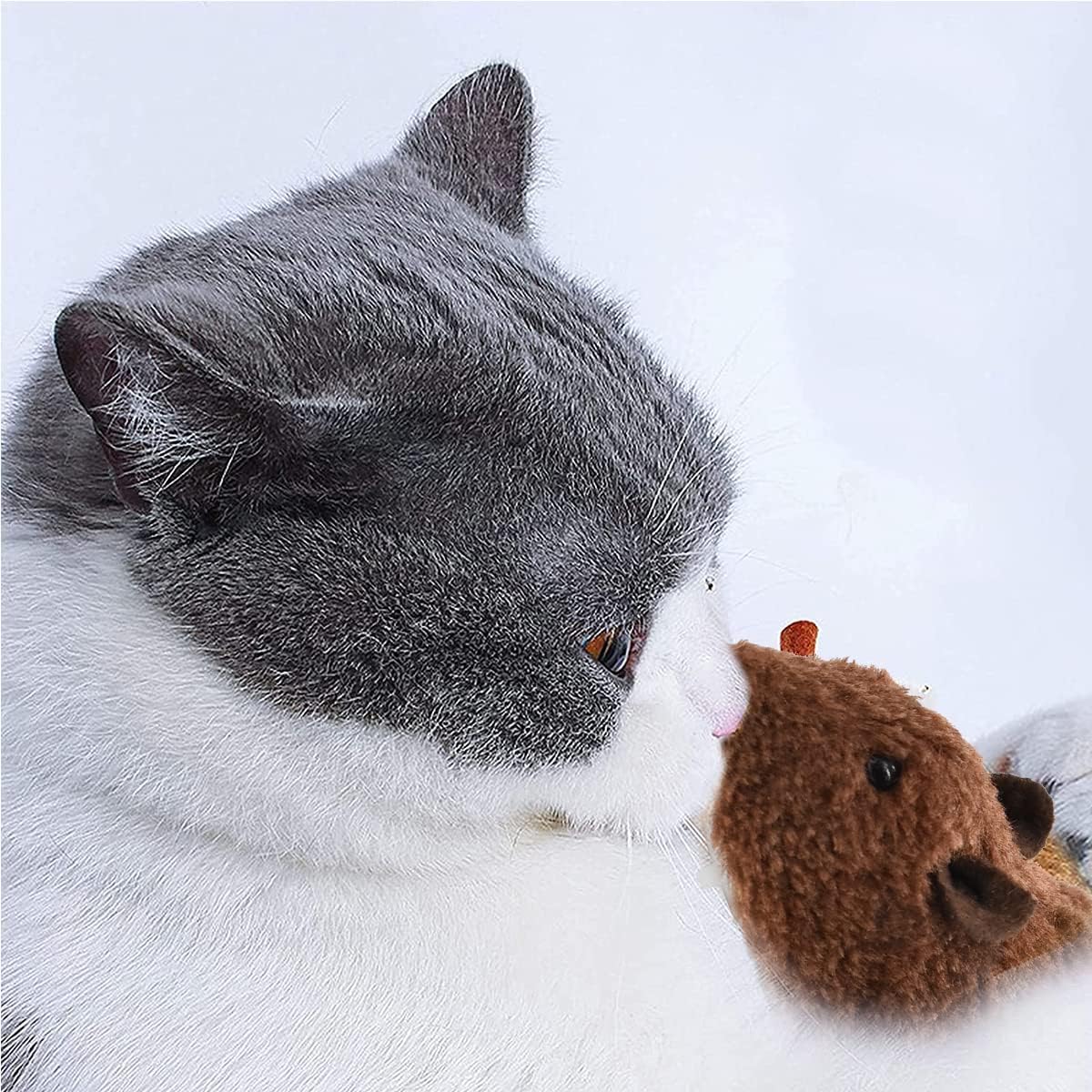 Clockwork Mouse Toy for Pets