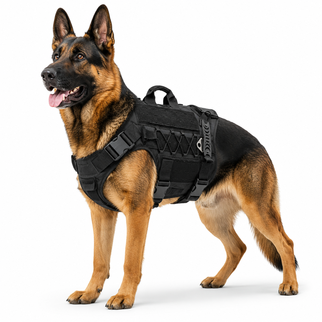 Dog Tactical Harness
