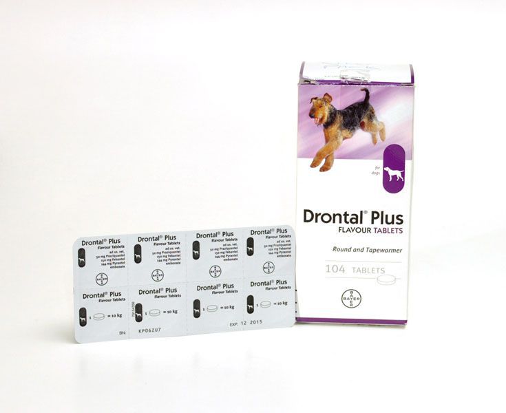 Drontal Plus Deworming Tablets for Dogs (1 Tablet)