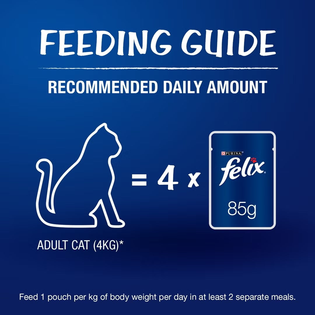 Felix Kitten Jelly Pouch 85g