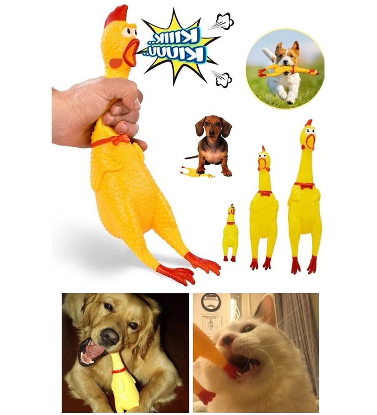 Hen Toy for Pets