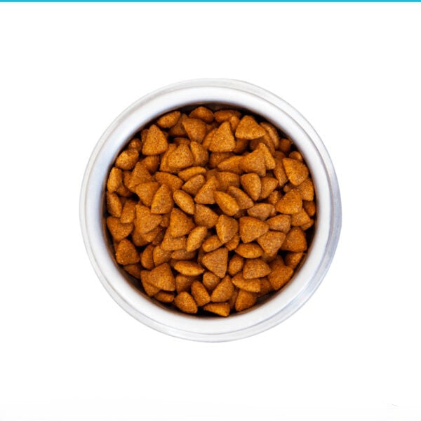Monello Adult Salmon & Chicken Cat Food 1kg