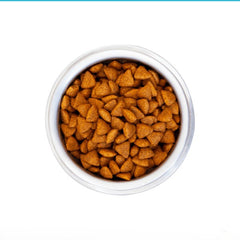 Monello Adult Salmon & Chicken Cat Food 1kg