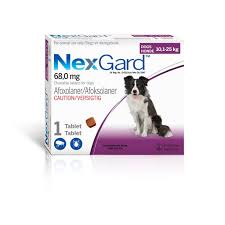 Nexgard Chewable Tablets for Dogs (1 Tablet)