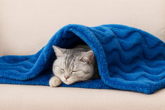 Pet Velvet Blanket - 3ft x 2ft