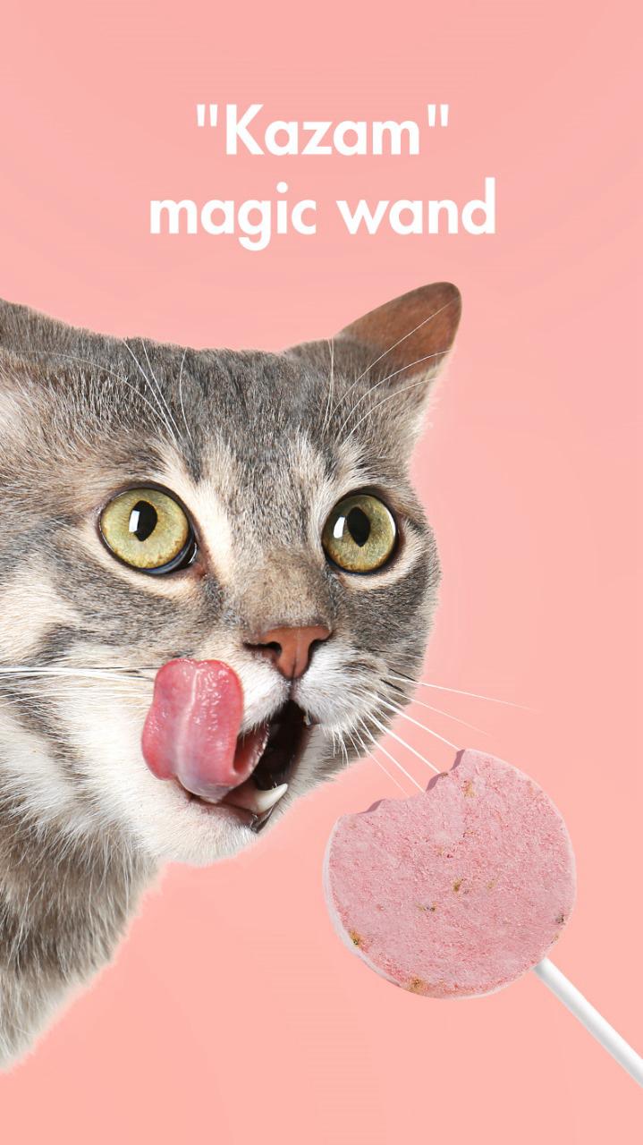 Ranova Cat Treat Lollipop