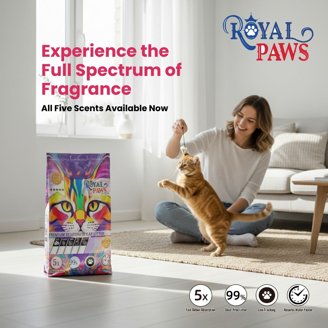 Royal Paws Premium Bentonite Cat Litter 10L