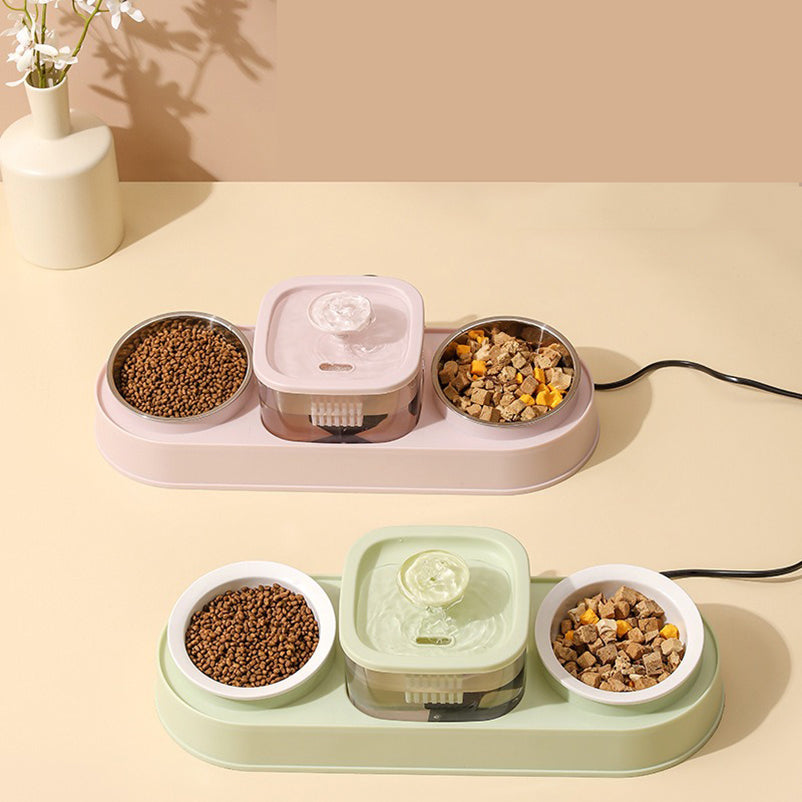 Water Fountain with Dual Food Bowl Set