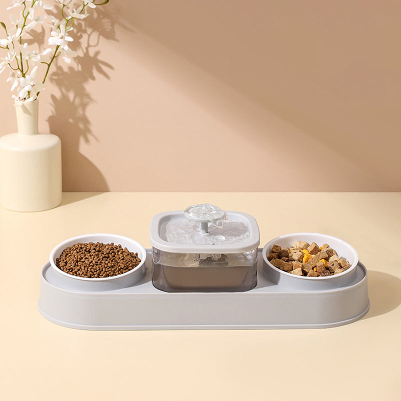 Water Fountain with Dual Food Bowl Set
