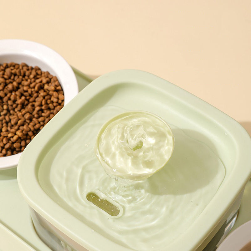 Water Fountain with Dual Food Bowl Set