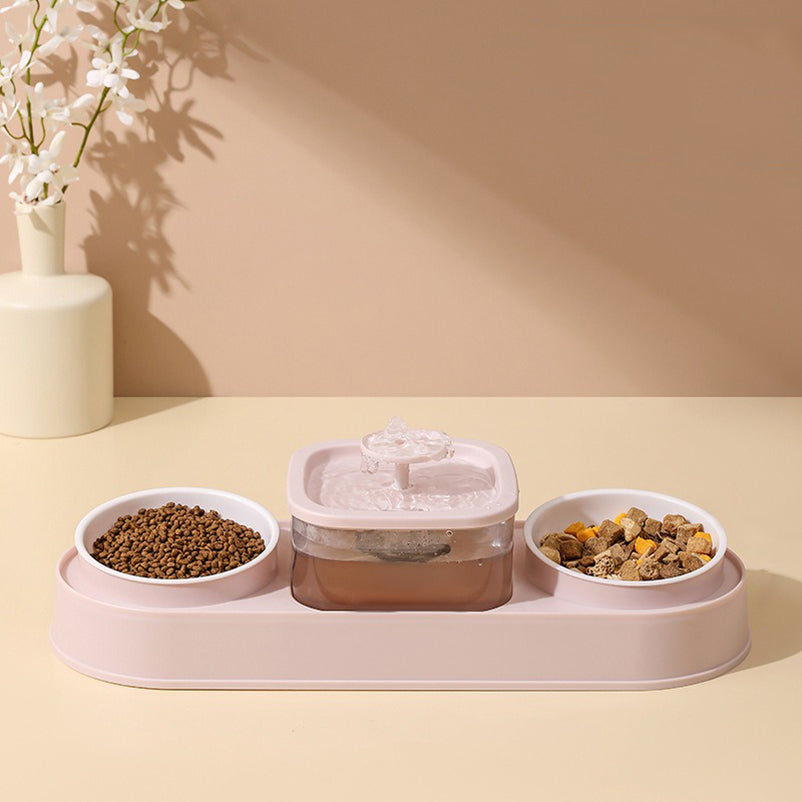Water Fountain with Dual Food Bowl Set