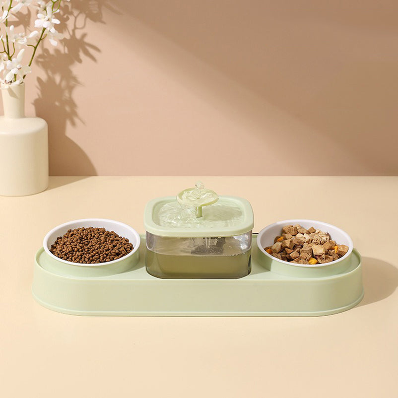 Water Fountain with Dual Food Bowl Set