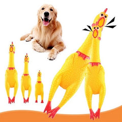 Hen Toy for Pets