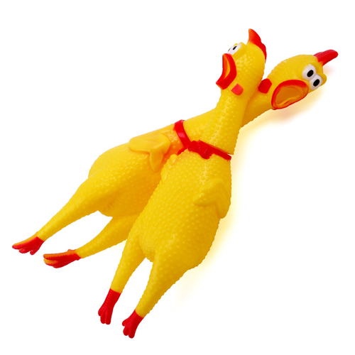 Hen Toy for Pets